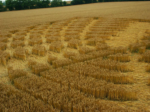 Aldbourne (2), Wiltshire crop circle, aerial photo 14