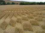 Aldbourne (2), Wiltshire crop circle, aerial photo 10