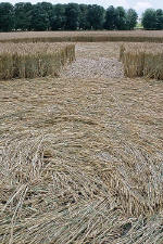 Avebury Manor, Wiltshire crop circle, aerial photo 38