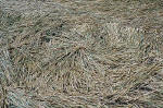 Avebury Manor, Wiltshire crop circle, aerial photo 43