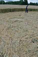 Avebury Manor, Wiltshire crop circle, aerial photo 40