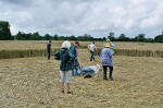 Avebury Manor, Wiltshire crop circle, aerial photo 42