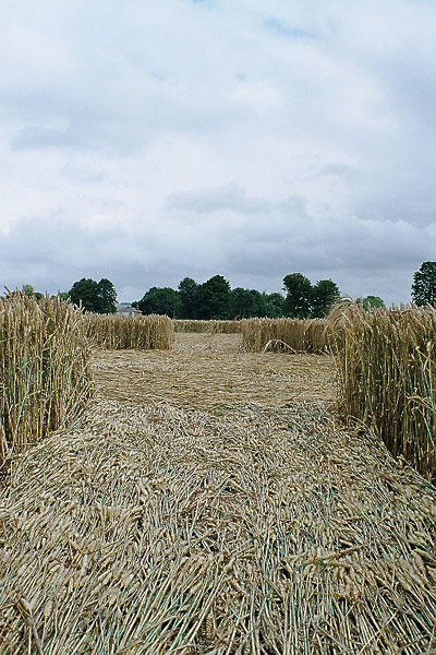 Avebury Manor, Wiltshire crop circle, aerial photo 34