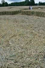 Avebury Manor, Wiltshire crop circle, aerial photo 51