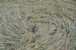 Avebury Manor, Wiltshire crop circle, aerial photo 49