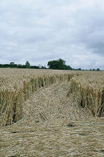 Avebury Manor, Wiltshire crop circle, aerial photo 52