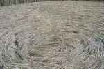 Avebury Manor, Wiltshire crop circle, aerial photo 50