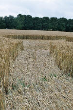 Avebury Manor, Wiltshire crop circle, aerial photo 58