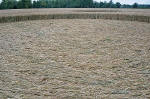 Avebury Manor, Wiltshire crop circle, aerial photo 54