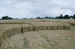 Avebury Manor, Wiltshire crop circle, aerial photo 60