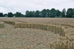 Avebury Manor, Wiltshire crop circle, aerial photo 61