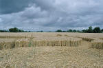 Avebury Manor, Wiltshire crop circle, aerial photo 64