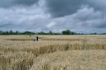 Avebury Manor, Wiltshire crop circle, aerial photo 65