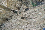 Avebury Manor, Wiltshire crop circle, aerial photo 71