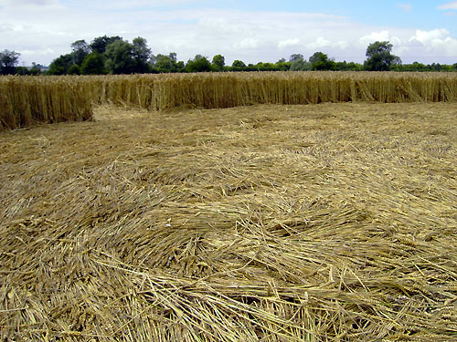 Avebury Manor, Wiltshire crop circle, aerial photo 45