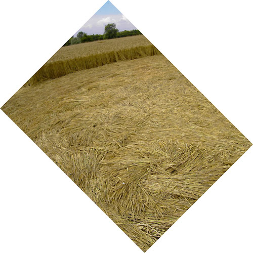 Avebury Manor, Wiltshire crop circle, aerial photo 46