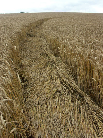 Avebury Stone Avenue, Wiltshire crop circle, aerial photo 9