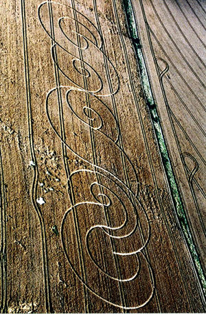 Avebury Stone Avenue, Wiltshire crop circle, aerial photo 6
