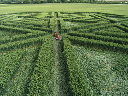 Avebury Trusloe, Wiltshire crop circle, aerial photo 7