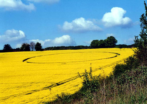Bishop's Sutton, Hampshire crop circle, aerial photo 4