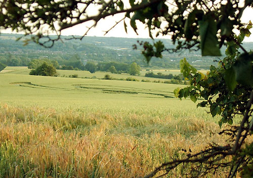 Bluebell Hill, Kent crop circle, aerial photo 22