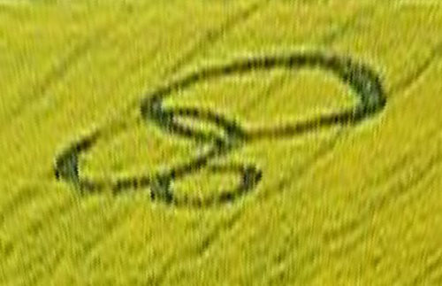 St Catherine's Well, Loversall nr Doncaster crop circle, aerial photo 2