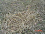 Chalfont St Peter, Buckinghamshire crop circle, aerial photo 4
