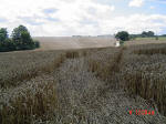 Chalfont St Peter, Buckinghamshire crop circle, aerial photo 7