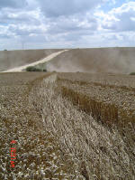 Chalfont St Peter, Buckinghamshire crop circle, aerial photo 10