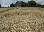 Chalfont St Peter, Buckinghamshire crop circle, aerial photo 14