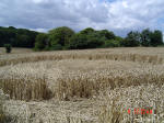 Chalfont St Peter, Buckinghamshire crop circle, aerial photo 15