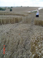 Chalfont St Peter, Buckinghamshire crop circle, aerial photo 19