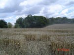 Chalfont St Peter, Buckinghamshire crop circle, aerial photo 17