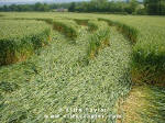 Cuxham, Oxfordshire crop circle, aerial photo 18
