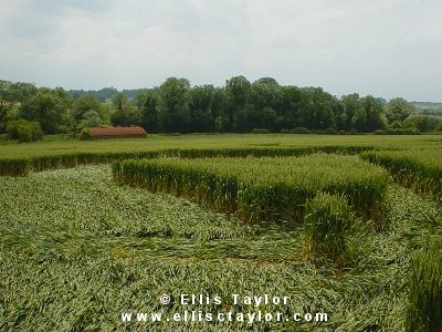 Cuxham, Oxfordshire crop circle, aerial photo 3