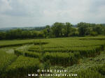 Cuxham, Oxfordshire crop circle, aerial photo 10