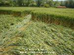 Cuxham, Oxfordshire crop circle, aerial photo 11