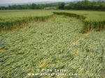 Cuxham, Oxfordshire crop circle, aerial photo 6