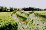 Cuxham, Oxfordshire crop circle, aerial photo 24