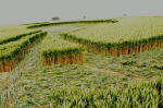 Cuxham, Oxfordshire crop circle, aerial photo 25
