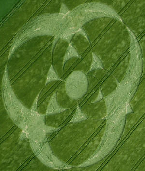 Clatford Bottom, Wilshire crop circle, aerial photo 38