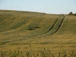 Clatford Bottom, Wilshire crop circle, aerial photo 8