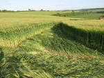 Clatford Bottom, Wilshire crop circle, aerial photo 23
