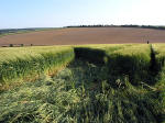 Clatford Bottom, Wilshire crop circle, aerial photo 30