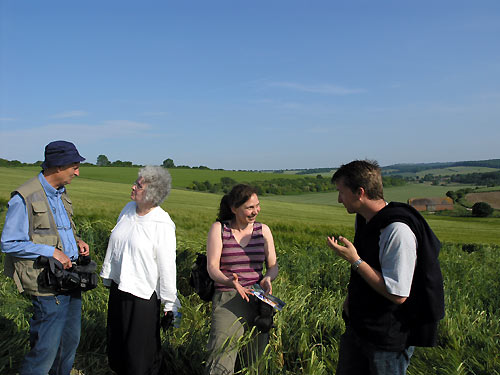 Clatford Bottom, Wilshire crop circle, aerial photo 51