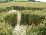Clays End, Somerset crop circle, aerial photo 9