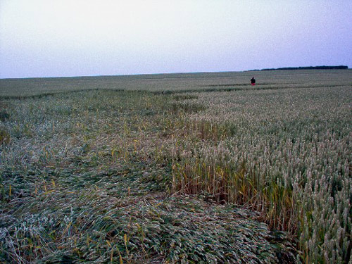Coombe Abbey, Warwickshire crop circle, aerial photo 2