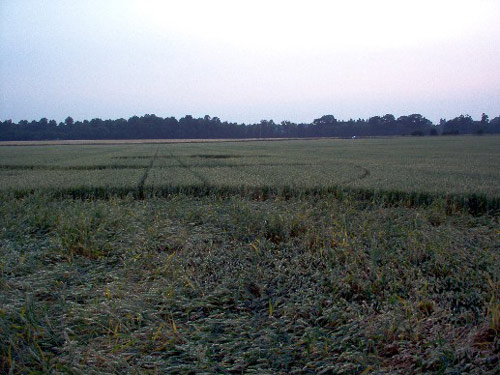 Coombe Abbey, Warwickshire crop circle, aerial photo 4