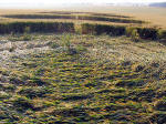 East Field, Wiltshire crop circle, aerial photo 5