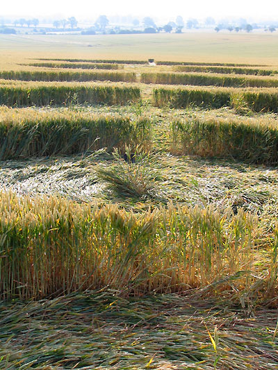 East Field, Wiltshire crop circle, aerial photo 4